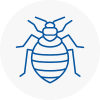 Bed Bug Extermination In Arlesey